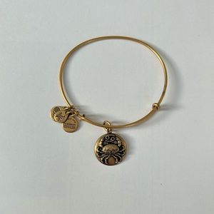 Cancer Alex and ani